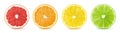 Isolated citrus slices. Cut of grapefruit, orange, lemon, lime fruit isolated on white with clipping path. Royalty Free Stock Photo