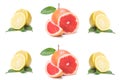 Isolated citrus slices, fresh fruit cut in half orange, pink grapefruit, lemon, in a row, on a white background Royalty Free Stock Photo