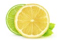 Isolated citrus slices lemon and lime