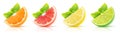 Isolated citrus wedges collection Royalty Free Stock Photo