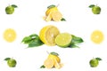 Isolated citrus whole and slices, fresh lemon and lime, on white background Royalty Free Stock Photo