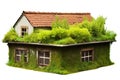 isolated clay house with a green garden on roof