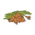 Isolated clipart Soybean