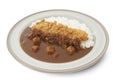 Isolated and clipping path of Japanese curry rice with tonkatsu. (Tonkatsu : Deep Fried Pork Tenderloin