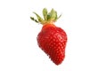 Isolated close up detailed side view shot of a delicious vibrant red strawberry on a white background Royalty Free Stock Photo