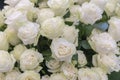 Isolated close-up of a huge bouquet of white roses. White roses Flower Arrangement Royalty Free Stock Photo