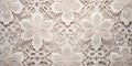 Isolated close-up of intricate lace fabric , concept of Delicate patterns