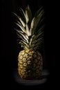 Isolated close up of a ripe pineapple, ananas comosus fruit, against a black background, Belgium
