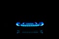 Isolated close up shot of Blue flames of gas stove in the kitchen Royalty Free Stock Photo