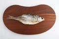 Isolated close up top view shot of a single Russian dried salted vobla Caspian Roach fish on a dark wooden plate on a white Royalty Free Stock Photo
