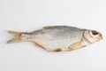 Isolated close up top view shot of a single Russian dried salted vobla Caspian Roach fish on a white background Royalty Free Stock Photo