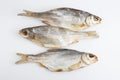 Isolated close up top view shot of three Russian dried salted vobla Caspian Roach fish on a white background Royalty Free Stock Photo