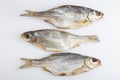 Isolated close up top view shot of three Russian dried salted vobla Caspian Roach fish on a white background