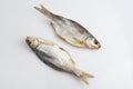 Isolated close up top view shot of two Russian dried salted vobla Caspian Roach fish on a white background Royalty Free Stock Photo