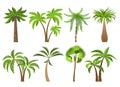 Isolated coconut palm trees