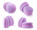 Isolated collection of two blueberry or blackberry macaroons Royalty Free Stock Photo