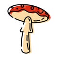 Isolated colored autumn mushroom sketch icon Vector