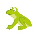 Isolated colored cartoon green color sitting frog with smile on white background.