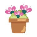 Isolated colored cute indoor flower icon Vector