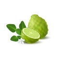 Isolated colored green whole and half of juicy bergamot, kaffir lime with green leaves, white flower and shadow on white backgroun Royalty Free Stock Photo