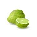 Isolated colored green whole and half of juicy bergamot, kaffir lime with shadow on white background. Realistic citrus fruit.