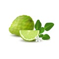 Isolated colored green whole and slice of juicy bergamot, kaffir lime with green leaves, white flower and shadow on white backgrou Royalty Free Stock Photo