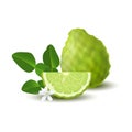 Isolated colored green whole and slice of juicy bergamot, kaffir lime with green leaves, white flower and shadow on white backgrou Royalty Free Stock Photo