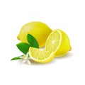 Isolated colored group of lemons, half, slice and whole juicy fruit with green leaves, white flower and shadow on white background Royalty Free Stock Photo