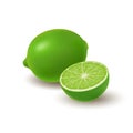 Isolated colored group of lime, half and whole juicy fruit with shadow on white background. Realistic citrus.