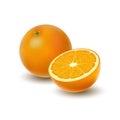 Isolated colored group of orange, half and whole juicy fruit with shadow on white background. Realistic citrus. Royalty Free Stock Photo