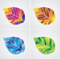 Isolated colored leaf
