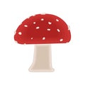 Isolated colored mushroom sketch icon Vector Royalty Free Stock Photo
