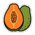 Isolated colored papaya icon Flat style Vector