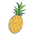Isolated colored pineapple sketch icon Vector Royalty Free Stock Photo