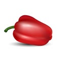 Isolated colored realistic whole red color paprika with shadow on white background. Bulgarian pepper.