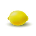 Isolated colored whole juicy yellow lemon with shadow on white background. Realistic citrus fruit.