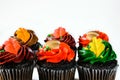 Isolated Colorful Chocolate Cupcakes