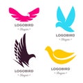 Isolated colorful flying birds vector logo set. Animal logotypes collection. Royalty Free Stock Photo