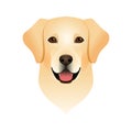 Isolated colorful head and face of happy labrador retriever on white background. Color flat cartoon breed dog portrait.