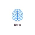 Isolated colorful vector brains. Medical logo.Scientifical logotype. Neurobiology emblem. Intelligence image. Human