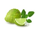 Isolated colorfull green whole and slice of juicy bergamot, kaffir lime with green leaves, white flower and shadow on white backgr Royalty Free Stock Photo