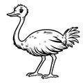 Isolated coloring page of a vector ostrich