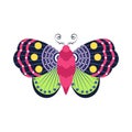 Isolated colors butterfly vector illustration