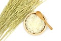 Isolated Cooked Jasmine rice in the wooden bowl with ear of rice on white background Royalty Free Stock Photo