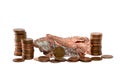 Isolated Copper Nugget and Copper Pennies Royalty Free Stock Photo