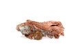 Isolated Copper Nugget and Copper Penny