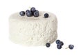 Isolated cottage cheese with blueberries