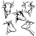 Isolated cow head vector portraits, cattle faces for farm natural dairy products packing Royalty Free Stock Photo