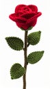 Isolated Crochet Red Rose with Green Leaves on White Background Royalty Free Stock Photo