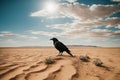 isolated crow in the desert Royalty Free Stock Photo